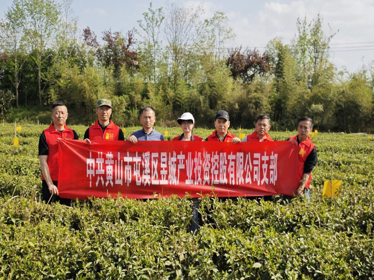 昱城產(chǎn)投公司黨支部開展“茶香潤初心，黨旗映茶園”主題黨日活動(dòng)