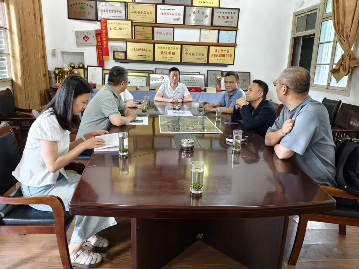 江蘇外聯(lián)采考察團到實驗茶場考察，共商茶產(chǎn)業(yè)合作新藍圖