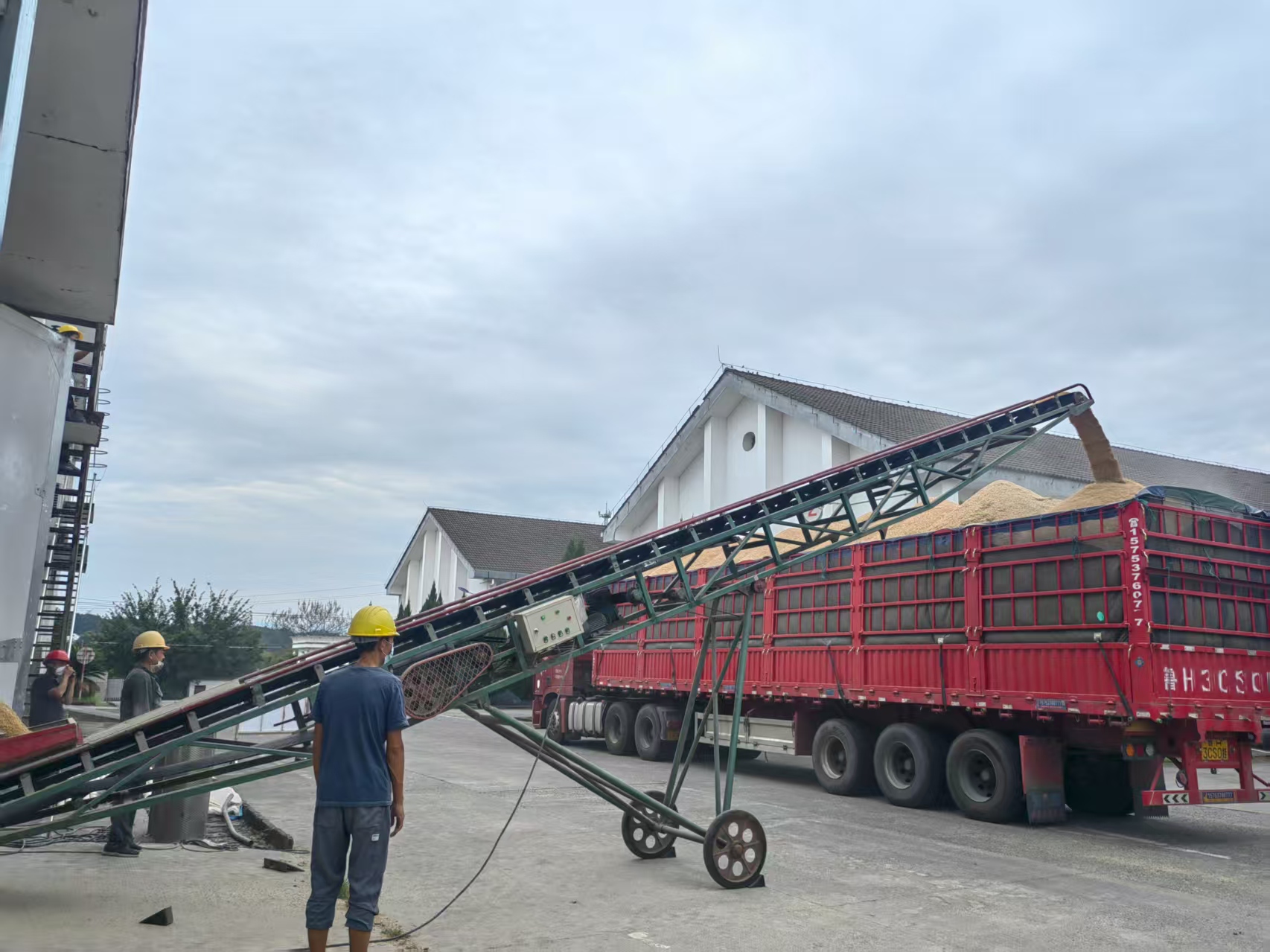 筑牢倉儲“安全線” 夯實輪換“基礎樁”——區(qū)國投集團扎實守好糧食安全關(guān)