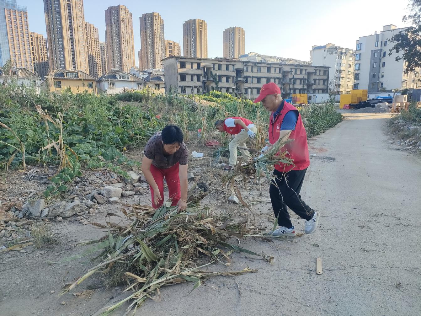 黨員進(jìn)社區(qū)：守護(hù)綠色家園，彰顯國(guó)企擔(dān)當(dāng)