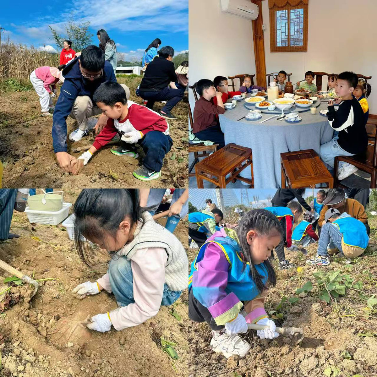 南溪南村：以薯為媒繪新景，活動(dòng)賦能興鄉(xiāng)村