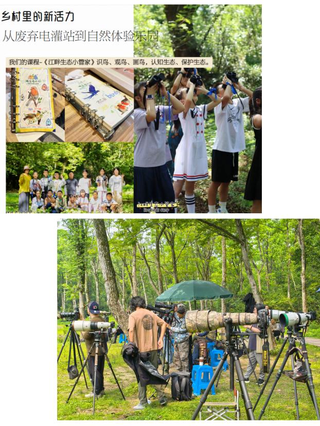 8000萬熱度炸屏！屯溪“護(hù)村小祖宗”聯(lián)動(dòng)短劇頂級(jí)頭部平臺(tái)帶火綬帶鳥，短劇+文旅解鎖鄉(xiāng)村振興新密碼