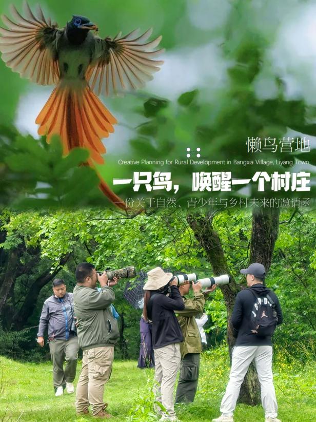 8000萬熱度炸屏！屯溪“護(hù)村小祖宗”聯(lián)動(dòng)短劇頂級(jí)頭部平臺(tái)帶火綬帶鳥，短劇+文旅解鎖鄉(xiāng)村振興新密碼