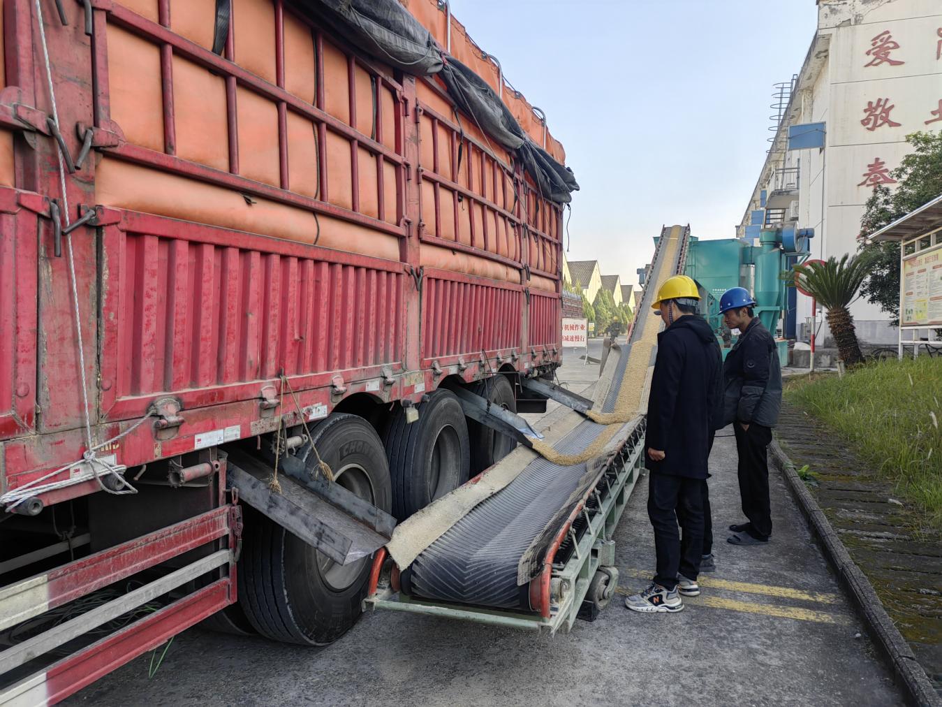 糧儲公司2025年度區(qū)級儲備糧輪換入庫工作圓滿完成